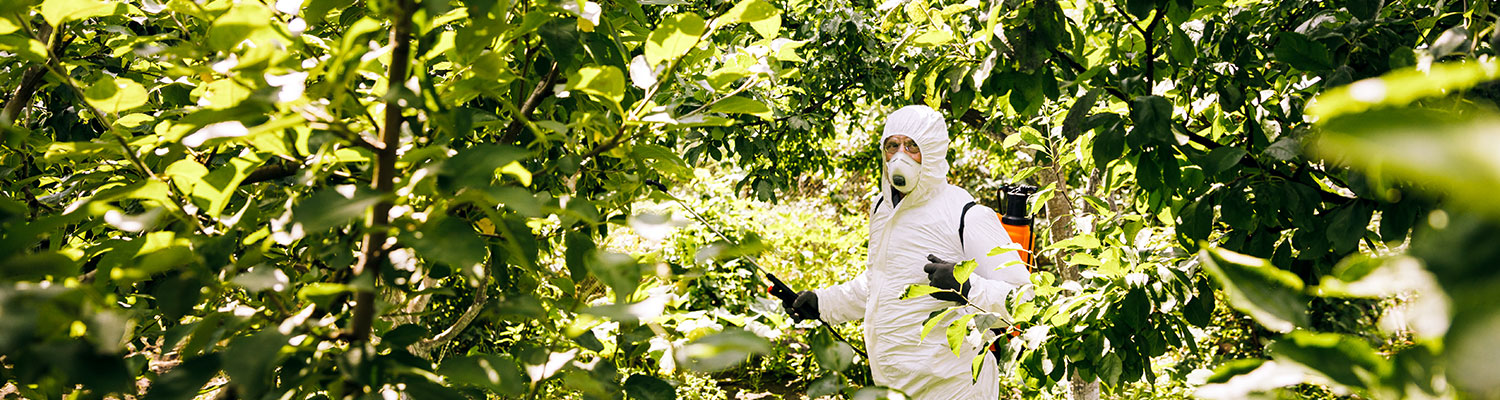Roundup Lawsuit: Monsanto Requests Reversal On $80M Verdict