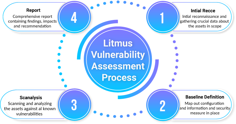 litmus-vulnerability-assessment-process_1.png