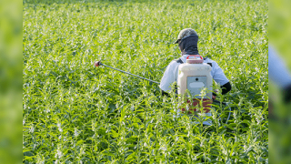 Bayer AG Reaches Deal On Major Portion Of Roundup Lawsuits