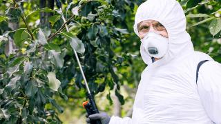 Bayer Ready To Intervene In Roundup Lawsuit