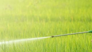 Bayer Requests To Reduce $2B Roundup Verdict