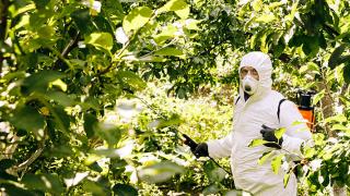 Monsanto Appeals Against $2B Roundup Verdict
