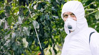 Monsanto Faces Class Action Over Controversial Weedkiller