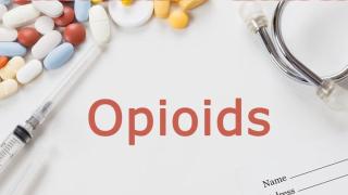 Opioids: MDL No 2804